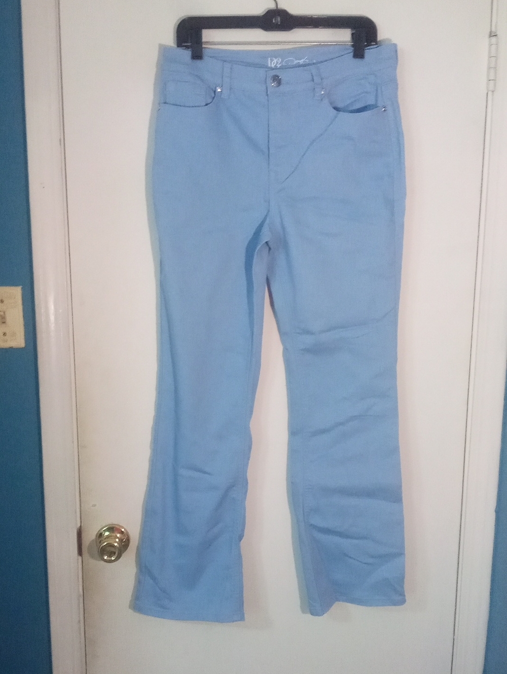 Dg2 By Diane Gilman Light Blue Jeans Sz 10 New NWOT Classic Straight Fit
